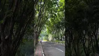 The world needs more green spaces.