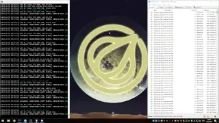 Garlicoin Mining Live 24/7