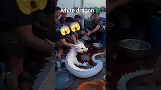 Chinese people found a white dragon in the sea 😨😨😨💀#dragon #shorts #china #facts