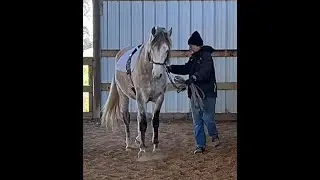 Profeta Work in Hand and Liberty Play Jan 17 2026