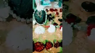 swapnat ale maze gurudew datta