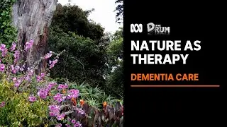 How plants can be key to unlocking memories in dementia patients | The Drum | ABC News