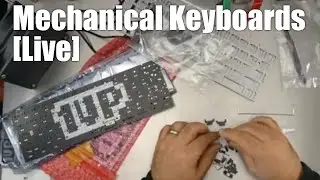 Сборка комплекта для механической клавиатуры Live Mechanical Keyboard &mdash; создание 3-х переключателей Zealio 60% универсальных комплектов от 1upkeyboards
