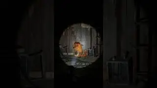 happy Lucky ai #video #relevant #viral #education #shortsvideo #horror #shorts #horrorshorts#video