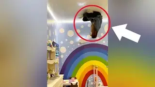 THIS ROOM IS UPSIDE DOWN 🤯 #Shorts