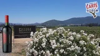Teaser Vi&ntilde;a Veramonte