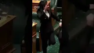 MPs Protest Treaty Rights Bill In NZ Parliament With Haka | 10 News First