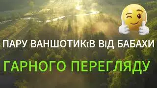 ПАРУ ВАНШОТИКІВ