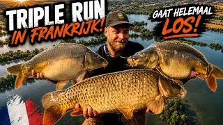 Triple run in France - catching carp on insane water - it's going off