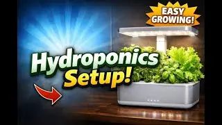 I Bought a Hydroponics System&hellip; Let&rsquo;s Unbox & Set It Up 🌿