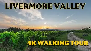 LIVERMORE VALLEY | Livermore Wine Tasting | Part 1 | Wine Country Virtual Tour | No Voice Over Video