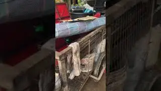 Jentera berat