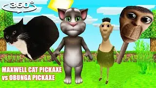 SECRET MAXWELL THE CAT Pickaxe VS OBUNGA Pickaxe in Minecraft 360&deg;