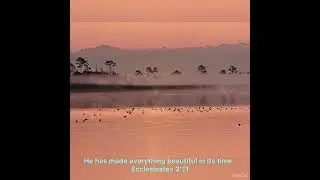 “He has made everything beautiful in its time