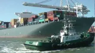MSC Fabiola as seen from the Alameda/Oakland Ferry
