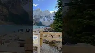Natures&rsquo;s beauty and full bloom in Calgary, Canada #nature #wow #newvideo #travel