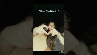 🎀💫💗happy friendship day 🎀🖇️ #friends #friendshipday #special #music