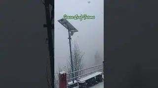 #snowfall #himachalpradesh #apple #greenleaffarms #nature #himachalapple