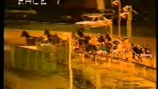 Harness race at Warragul