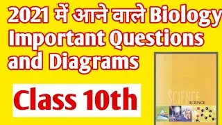 Science important question for board 2021 class 10th ||biology important question 2021 board
