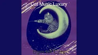 Simplistic Music for Lonely Cats