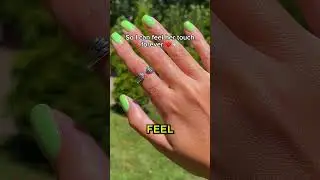 Сделайте это, прежде чем ваша собака умрет 😍