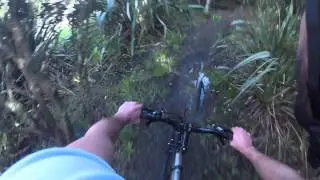 Mountain Bike NZ Arch Hill iniciante