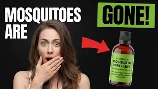 How To Make Mosquito Spray At Home That Really Works