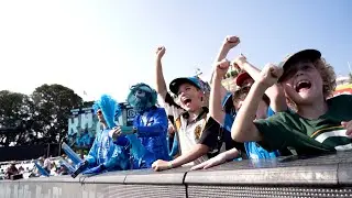The best fans in the BBL