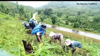 Powerful Tribal Women of Arunachal | Raw Jungle Life & Jhoom Farming