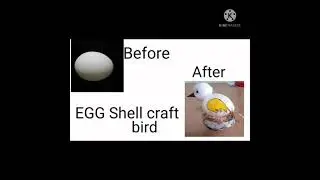 How to make a bird from egg shell