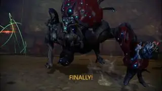 Warframe - How to kill Phorid one shot vs. Sancti Tigris (Build included)
