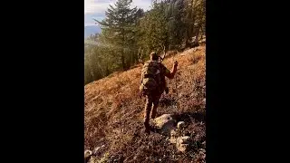 The One That Got Away, And The One That Didn't - an Idaho Mule Deer Story