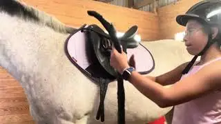 ТЫЫЫ ОГРОМНОЕ СПАСИБО ТЕБЕ ЗА ЭТОТ РЕДАКТИРОВАНИЕ @KoraTheEquestrian #horse #equestrianjourney