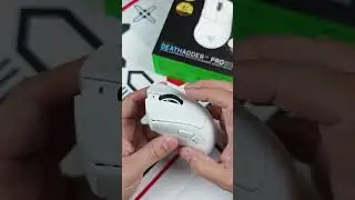 Razer Deathadder V4 Pro. Шортс обзор