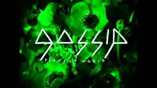 Gossip - Perfect World RMX (audio)