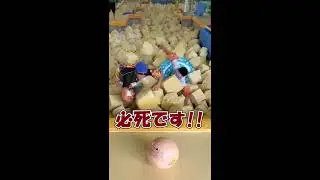 【相模原】ジョイスポーツクラブクイズ正解者発表