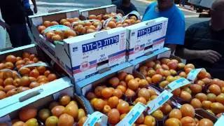 Ben Dor Fruits