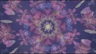 Sacred - Natalie F&eacute;e (Official Music Video)