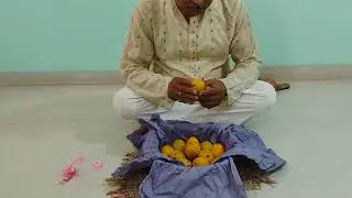Indian Mango 🥭. Champaran Zarda