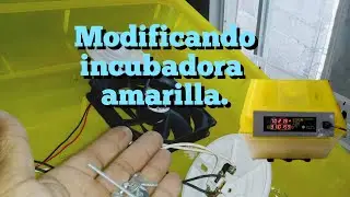 MODIFICANDO INCUBADORA AMARILLA, de procedencia china.