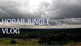 horab jungle | Nature vibe | #vlog18