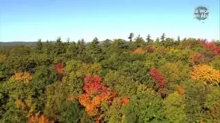 Tapestry of Colour - Short Video of Massachusetts from Above (HD)