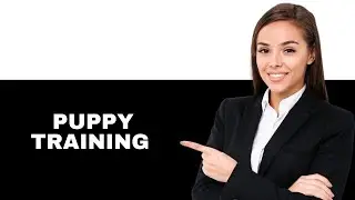 Best Puppy Training Apps: Iphone & Android (2025)