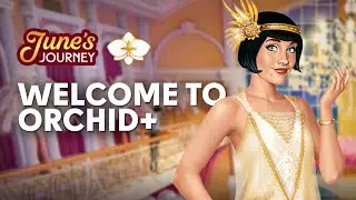 Представляем вашему вниманию Orchid+ | Новые возможности и выгоды!