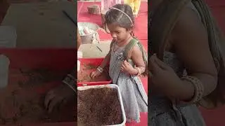 please follow me and support me friends