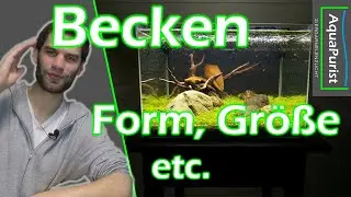 Das Becken: Wie gro&szlig;? Welche Ma&szlig;e? Wo Aufstellen? #Einsteiger Playlist 2