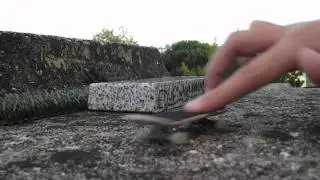 Class A Fingerboards July / August Tryout