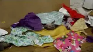 StreamThatCause.com-Wrapping Paper Fundraiser Disaster