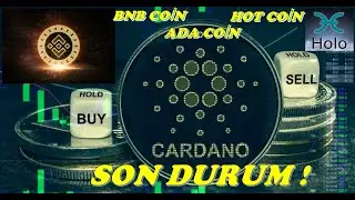 #CARDANO